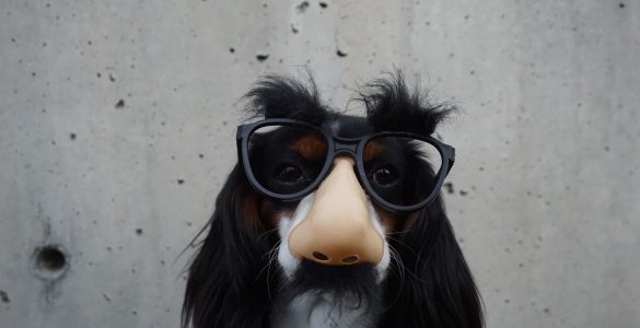 Fake-Inserate erkennen