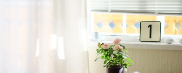 Richtig deine Wohnung im Sommer kühlen - hier erfährst du Tipps.